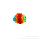Clown wig / One size fits all