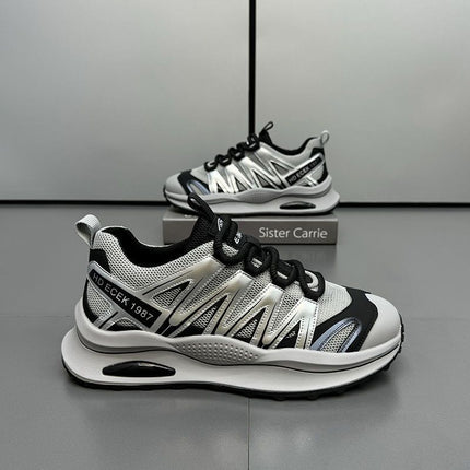 Men's Shoes Autumn Breathable Thin Mesh Shoes All-match Fashionable Casual sneaker Deodorant Running Dad Shoes Fashionable Shoes