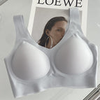 888v collar gray / M 40-57.5kg [70a-80c]