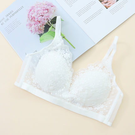 Tangge Spring and Summer Silk Bra Thin Non-rimmed Lace Small Floral Sexy Mulberry Silk Underwear Small Bra