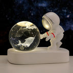 Single dolphin / Beloved Astronaut natural light