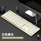 White-warm light (silent waterproof height bracket)
