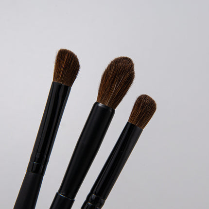Cangzhou Hot-Selling Makeup Brush Animal Hair Highlight Brush Nose Shadow Detail Eye Shadow Brush Blending Set Portable Beauty Makeup