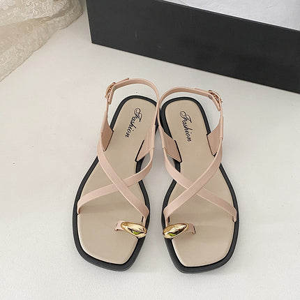 2024 New Arrival Set Toe Sandals and Slippers Women's Summer Outer Wear Cyber Celebrity Ins Flat French Style High-grade Clip-toe Women's Shoes