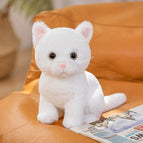 Sitting height 26cm (0.26kg) / White