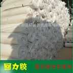 Class C White 0.8mm