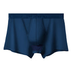 Royal Blue / L