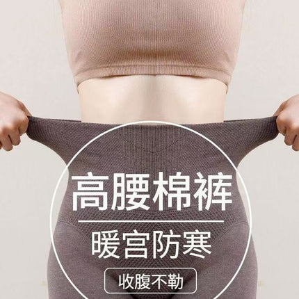 Autumn and Winter High-Waisted Tummy Control Cotton Ribbed Leggings for Women, Fleece-Lined, Thickened, Warm, Slight Compression, Slimming Tights