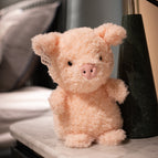 20cm / Piggy