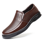 Brown / 38