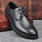 216 black counter boutique version / 38
