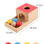 International version of beech wood permanent target box (four balls)