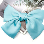 Sky blue spring clip