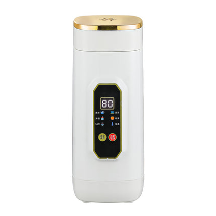 Insulated Cup That Can Boil Water, Portable Electric Water Cup for Travel and Hotels, 304 Stainless Steel Electric Hot Water Cup