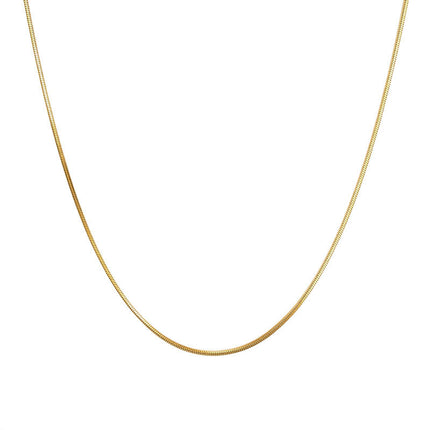 Simple American fine grain snake bone chain niche Joker titanium steel sweater chain women's high-end long necklace wholesale