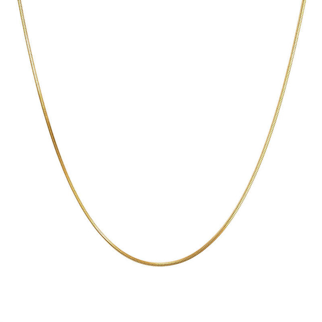 Simple American fine grain snake bone chain niche Joker titanium steel sweater chain women's high-end long necklace wholesale
