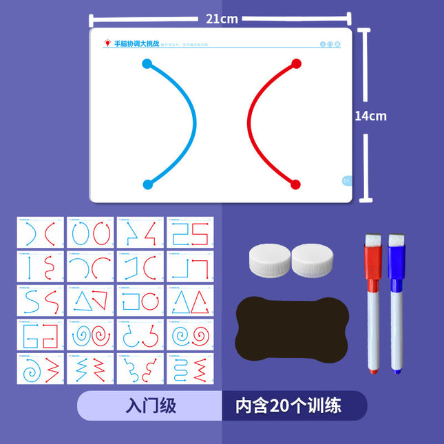 Left and Right Brain Development Toys for Young Children Whole Brain Thinking Training Concentration Attention Fine Movement Exercise Teaching Aid