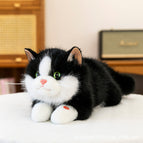 45cm【0.48kg】 / Black and white ragdoll cat - can meow