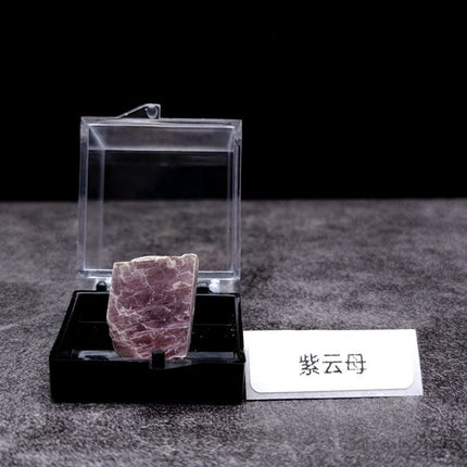 Mineral Crystal Calcite Pyrite Symbiotic Crystal Raw Stone Geological Science Teaching Specimen Collection Ornament