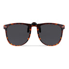 S12-hawksbill frame black and gray plate [polarized light]]