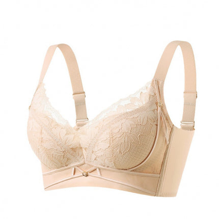 25Th Autumn/Winter Hot-Selling Women's Underwear Medium-Thick Ab Cup Angora Red Push-Up Sexy Lace Adjustable Bra