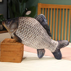 30cm / Crucian carp