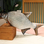 30cm / Bream