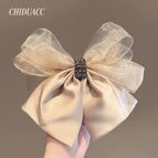 (47)# Spring clip