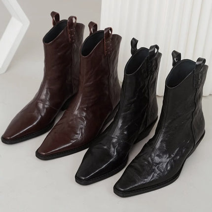 Pointed-toe Western cowboy boots Women's ankle boots 2023 new spring and autumn European and American fashionable elegant pleated V-mouth chunky heel ankle boots