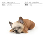Pl127-938 sleeping bulldog 40g