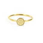 November light yellow-gold / Circumference 49MM -US5
