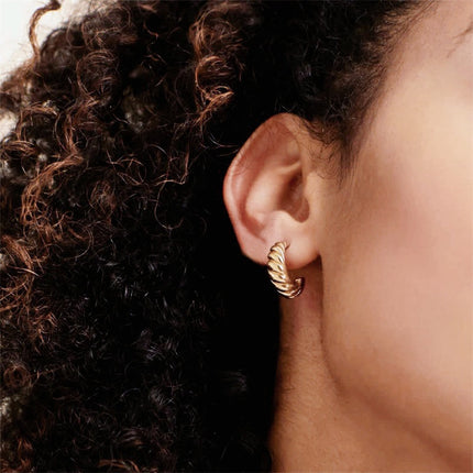 Korean Style Simple Croissant Twist Earrings Stainless Steel Curved Ear Pins Gold-Plated Women's Earrings Wholesale
