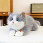45cm【0.48kg】 / Gray ragdoll cat-can meow