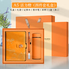 Vibrant Orange + Metal Pen + Water Cup + U Disk / A5