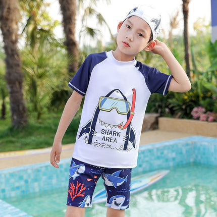 Children's Swimsuit One-piece Boy's Dinosaur Korean Style Baby Baby Hot Spring Quick-drying New Large Cute Sunscreen Swimsuit