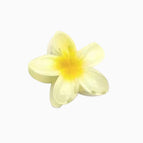 8cm champagne plumeria clip