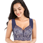 Blue / 23456 color combination consultation