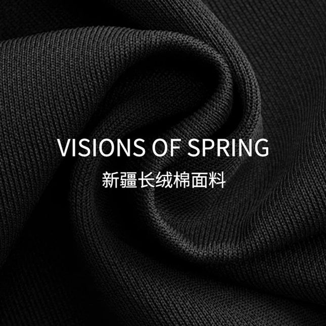 Black Inner Slim-Fitting Bottoming Shirt for Women in Spring and Autum, Long-Sleeved 2025 New V-Neck T-Shirt, Autum and Winter Tops