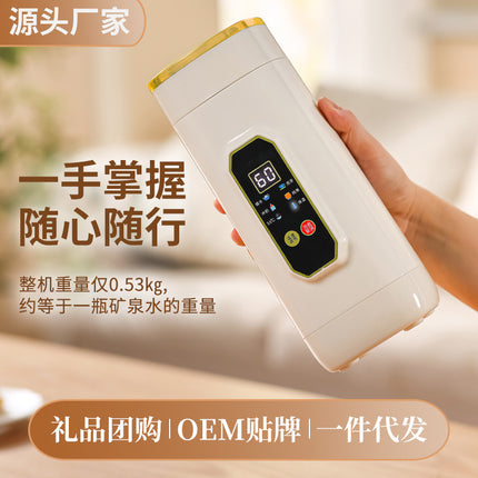 Insulated Cup That Can Boil Water, Portable Electric Water Cup for Travel and Hotels, 304 Stainless Steel Electric Hot Water Cup