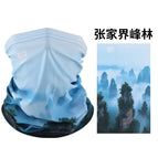 Zhangjiajie peak forest