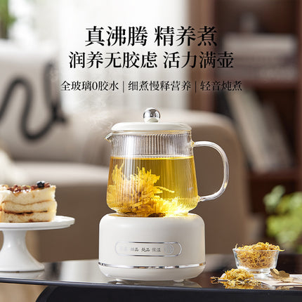 Multifunctional Mini Health Pot, Small Office Tea Maker, Home Health Cup, Electric Hot Water Cup, Gift Box