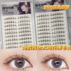 20 rows of 240 clusters of glue-free brown sunflower eyelashes book