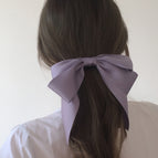 (44)#Spring clip
