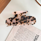 5-meter tortoiseshell