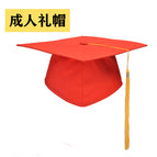 Adult hat (plastic board) / One size fits all