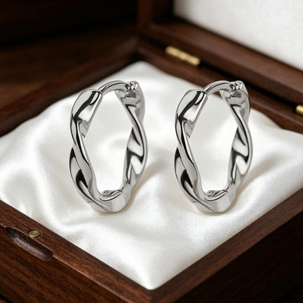 European and American Niche Earrings Design Light Luxury High-End Earrings for Women Summer Simple and Versatile Copper Gold-Plated Earrings Wholesale