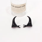 A pair of black hairpins
