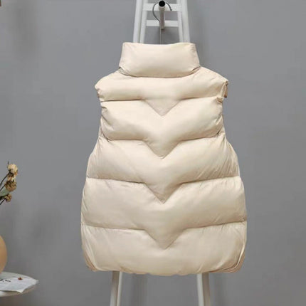 Women's Short Vest 2025 Autumn and Winter New Korean Style Loose Slimming Thick Cotton Vest Jacket Trendy