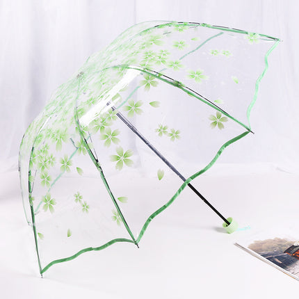 Fully Automatic Folding Plastic Transparent Cherry Blossom Umbrella for Women, Long Handle Apollo Style, Fresh and Simple, for Children, Students, Performances, Wholesale