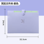 Smile Organ Bag-Purple 5 / A4-32.5cm*24cm